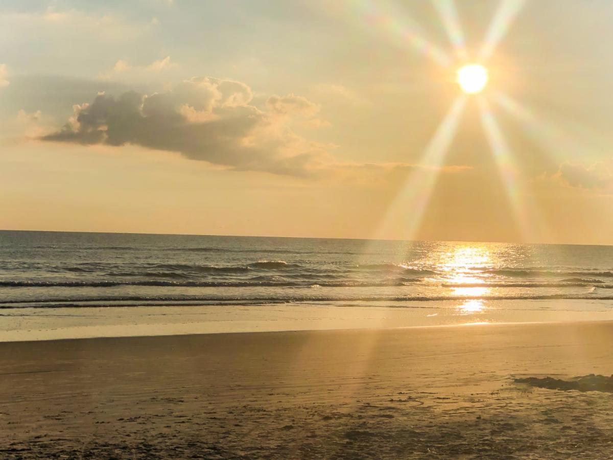 Sand Dollar Condominiums Daytona Beach Shores Buitenkant foto