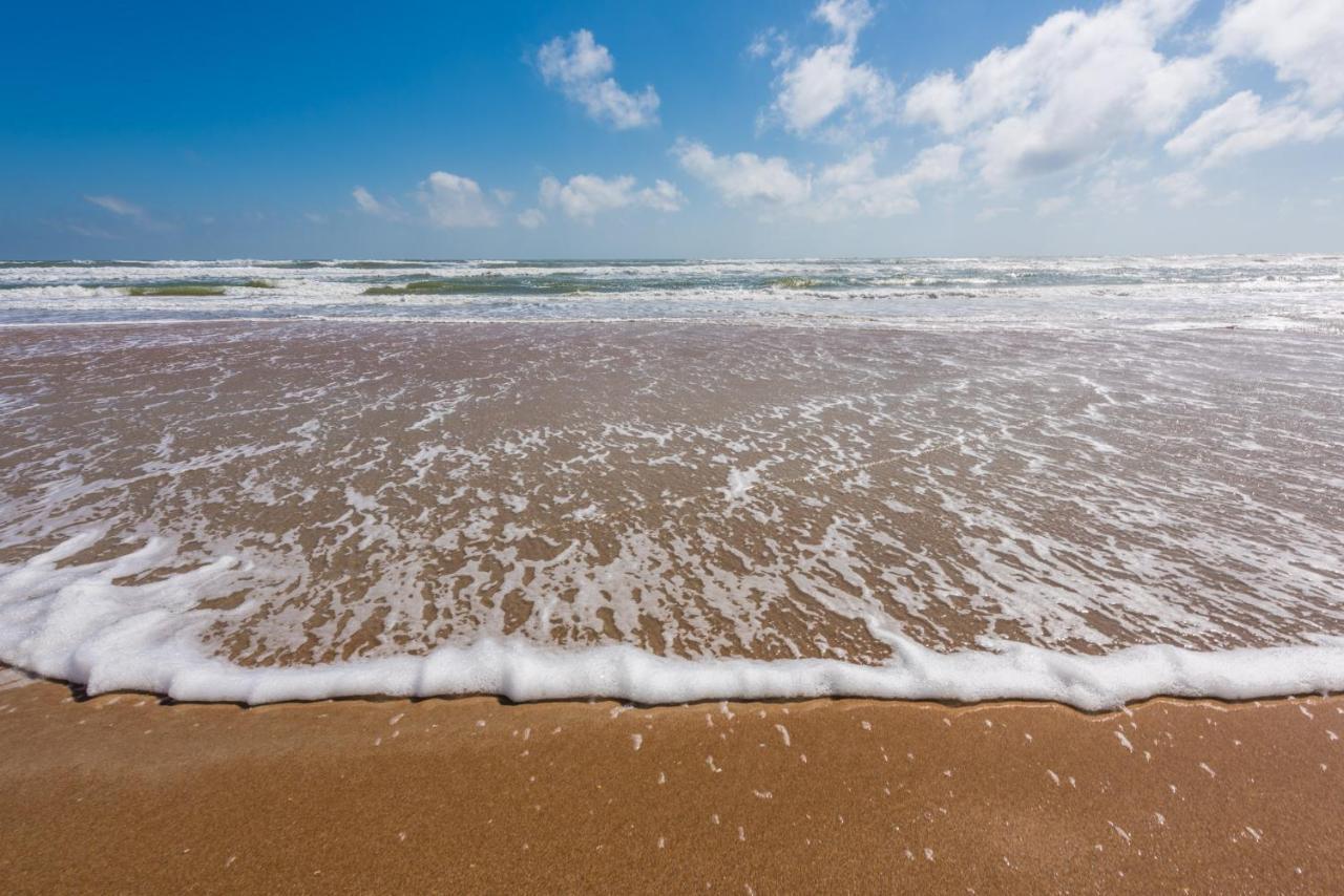 Sand Dollar Condominiums Daytona Beach Shores Buitenkant foto